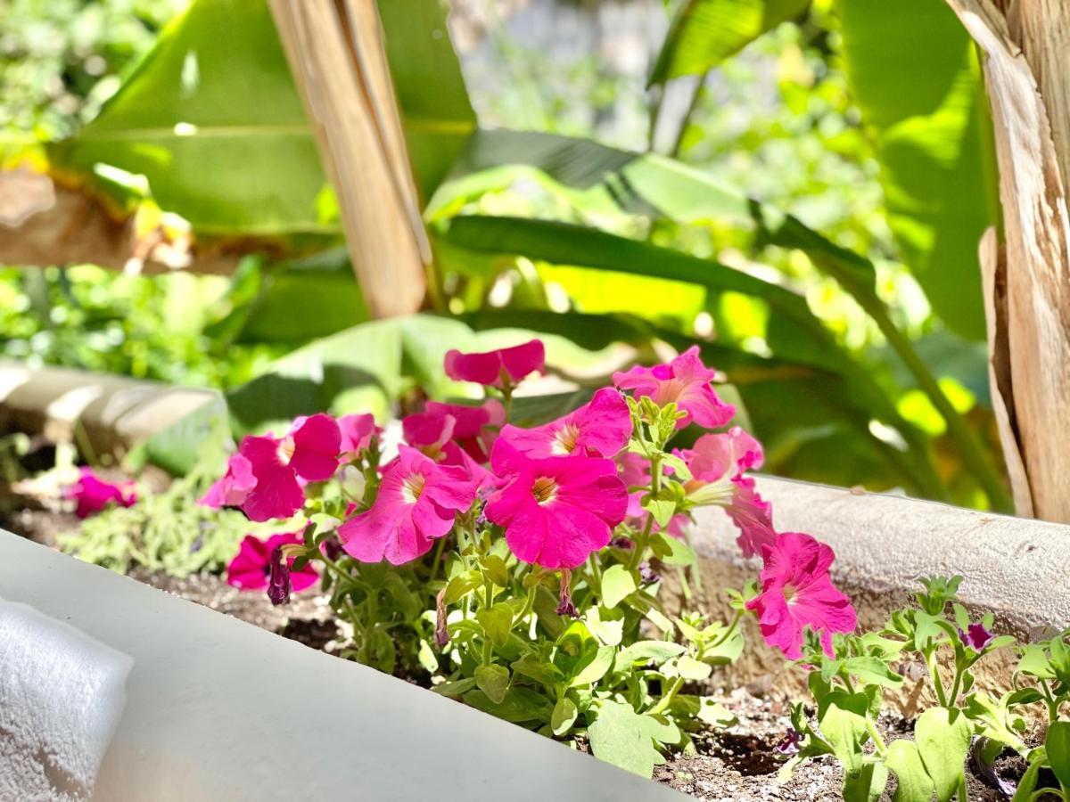 Marbella Real Golden Mile -Eaw Homes 외부 사진